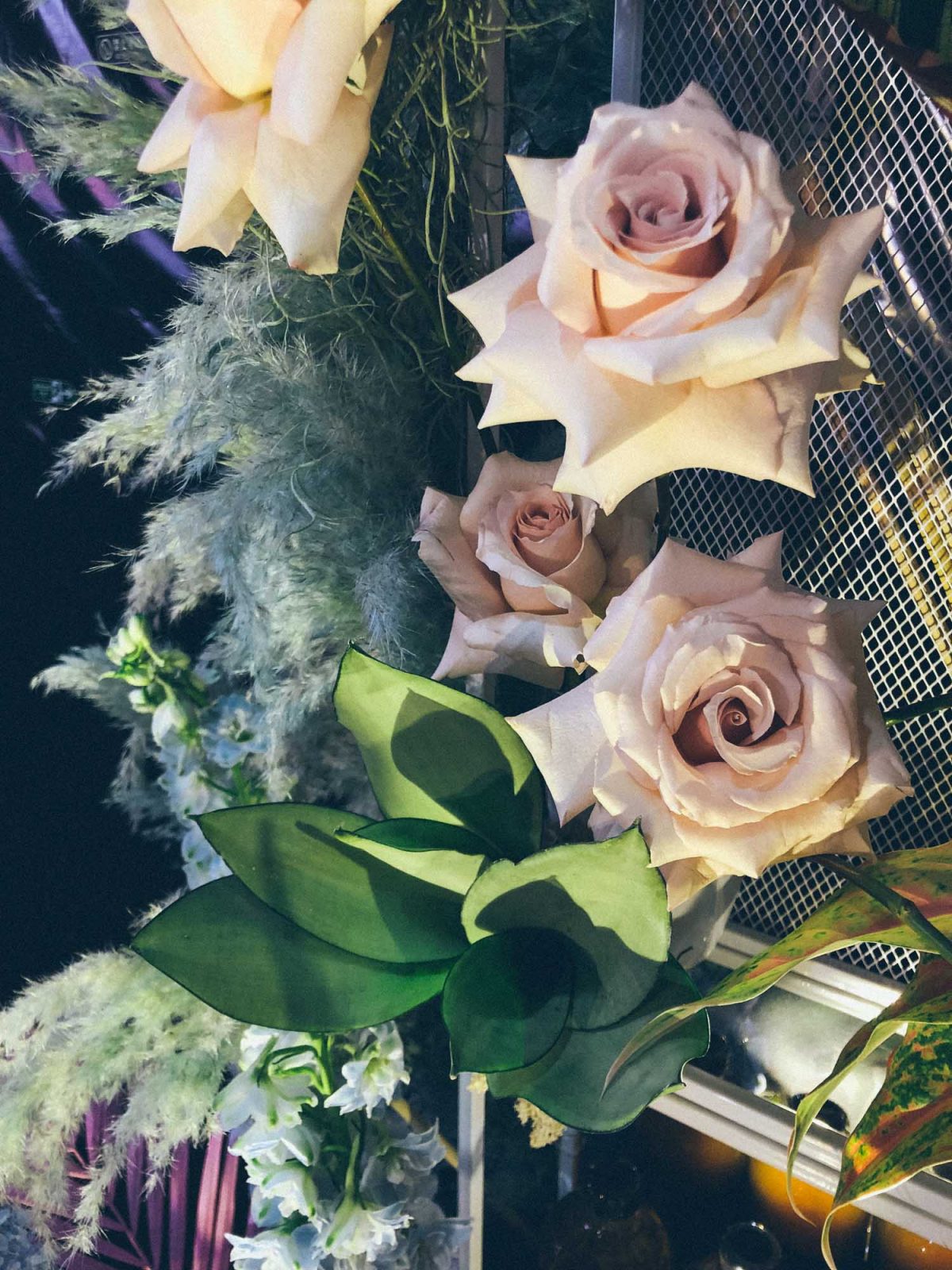 Quick sand roses and tropical plants for product display